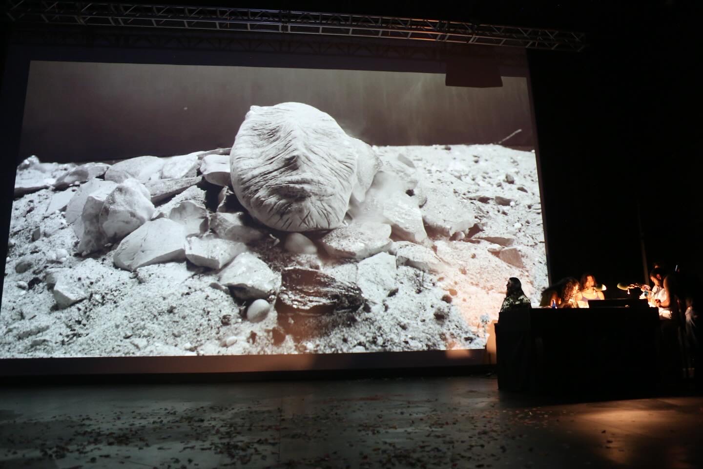 The Destroyed — image 7
